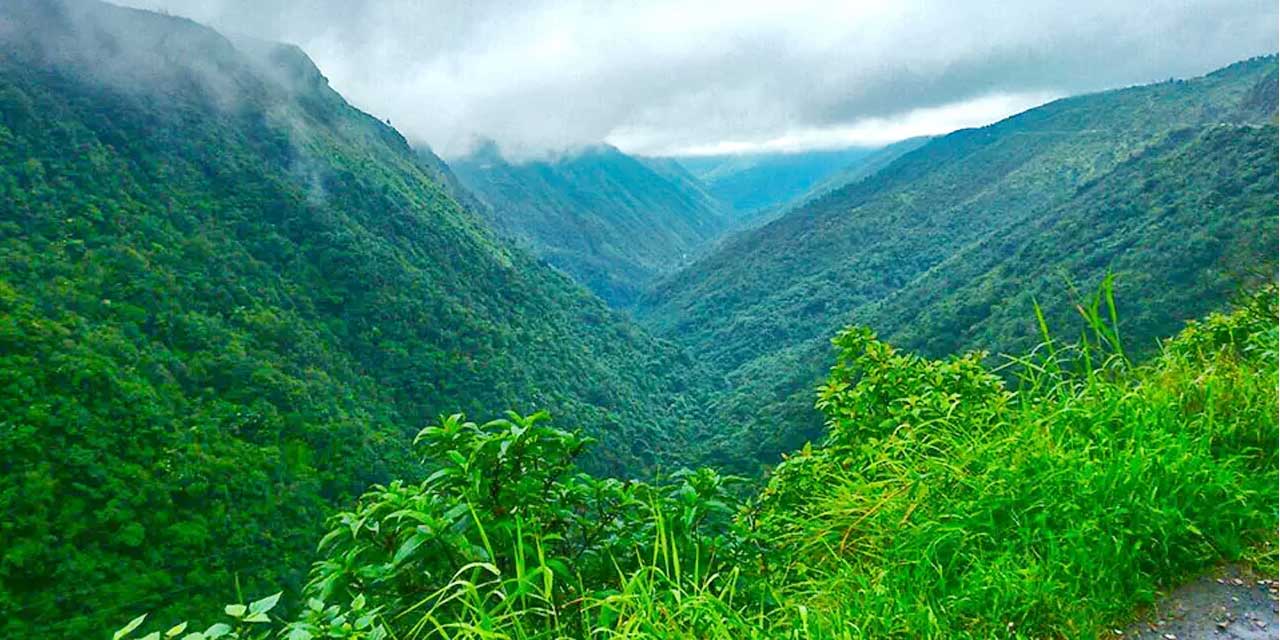 Green Valley, Shimla Tourist Attraction