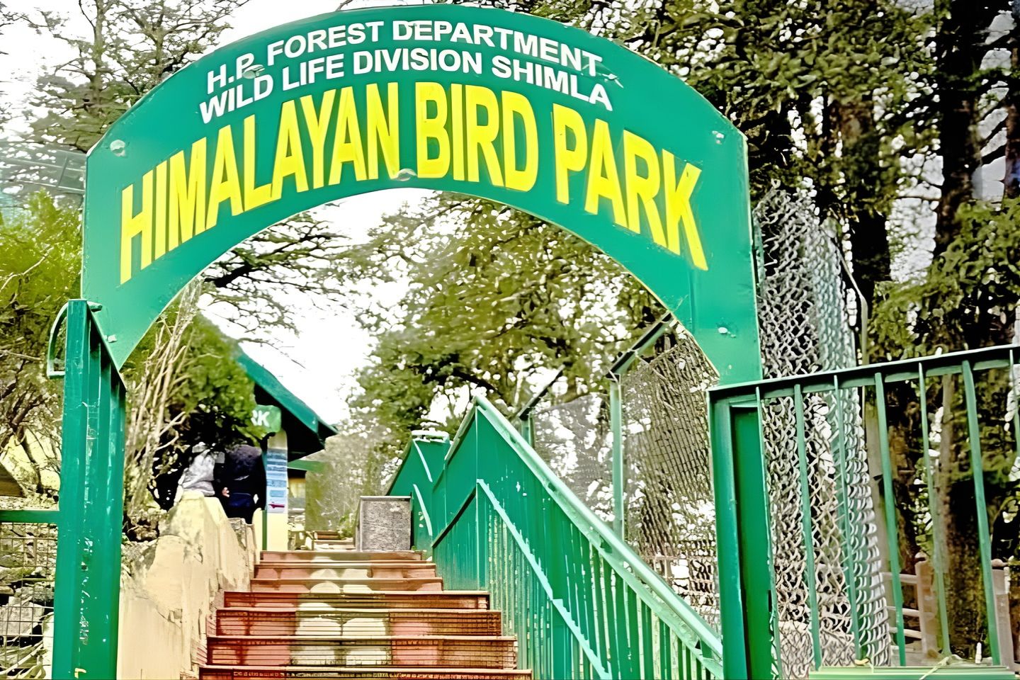Himalayan Bird Park, Shimla