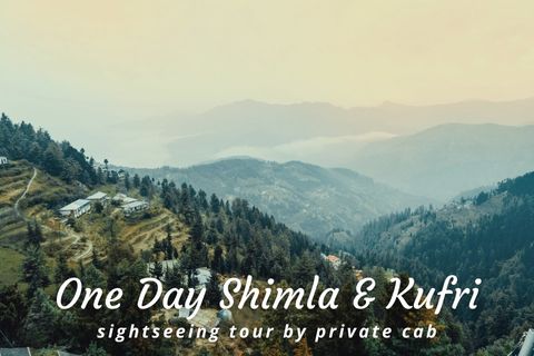 Shimla and Kufri Sightseeing Trip by Car