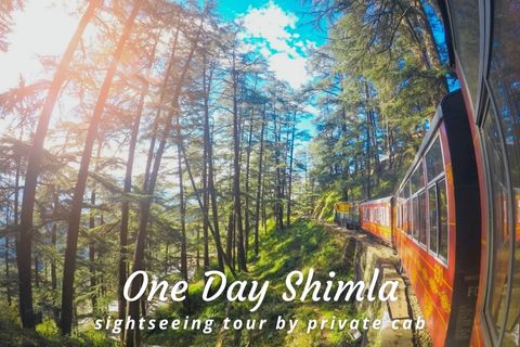 One Day Shimla Local Sightseeing Trip by Cab