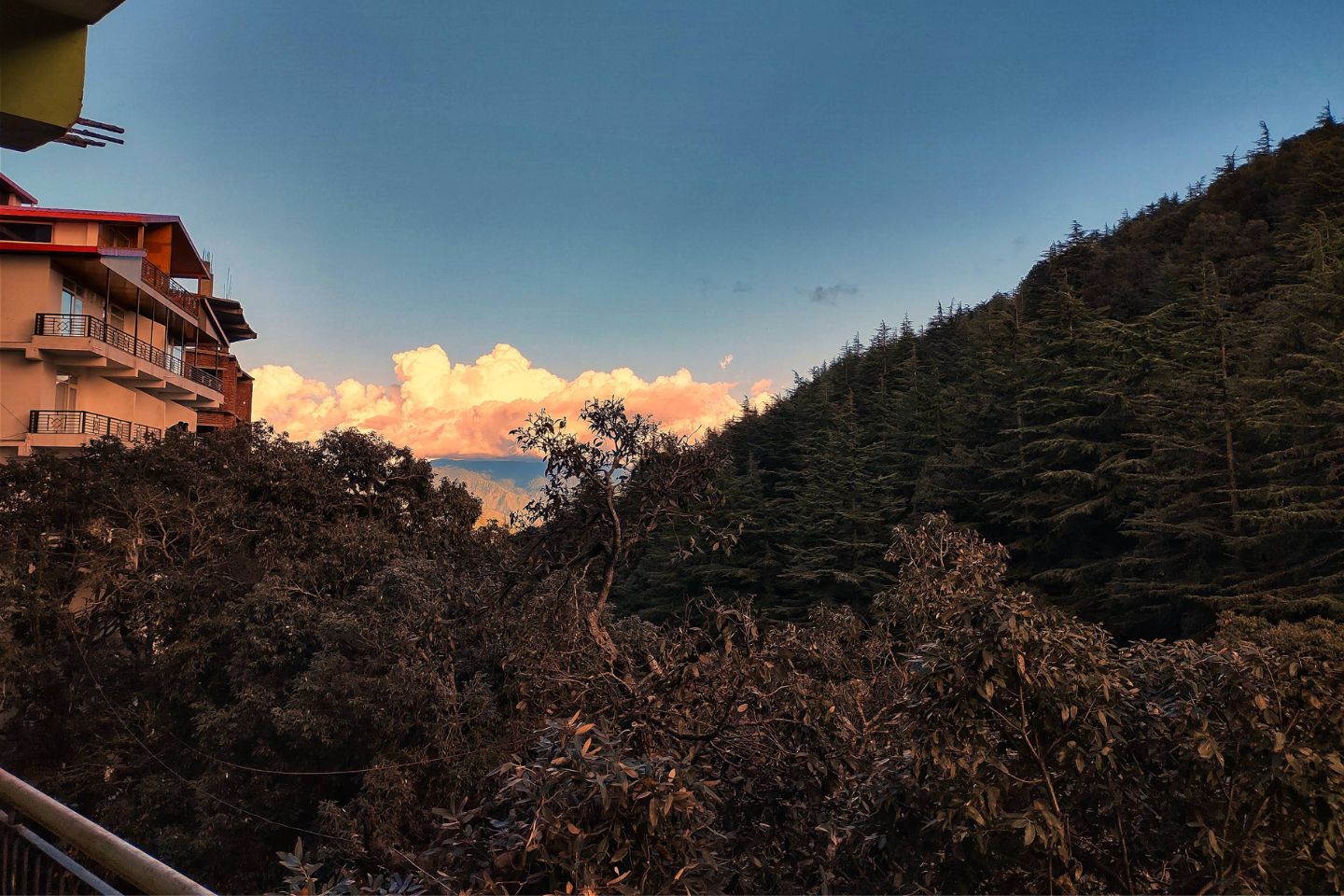 Chail, Shimla Top Places to Visit in Three Days