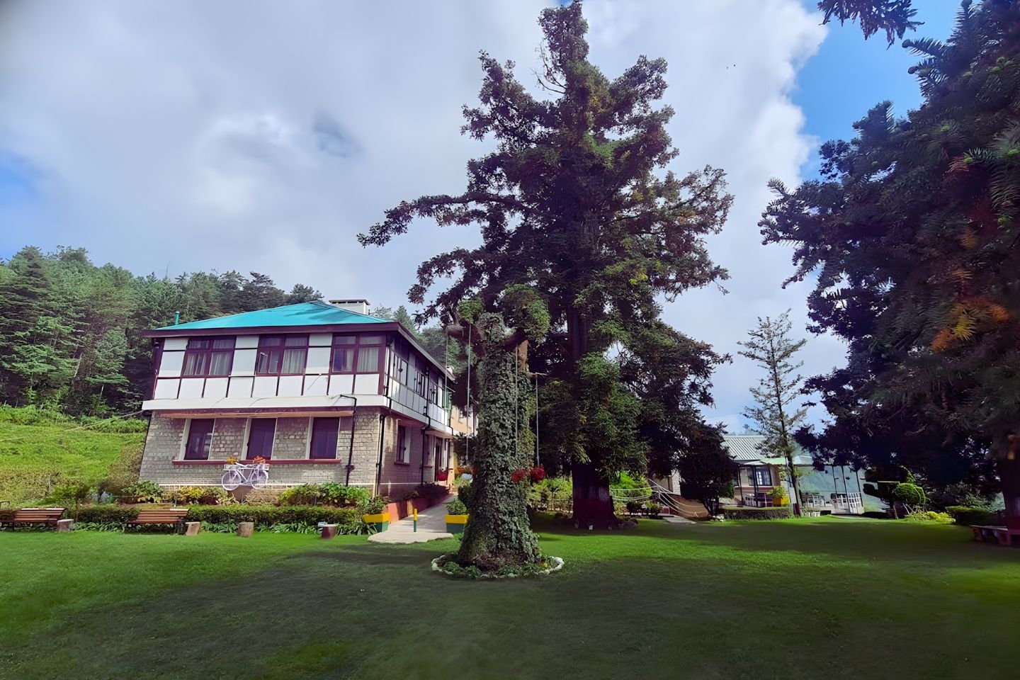 Mashobra Apple Orchards Shimla