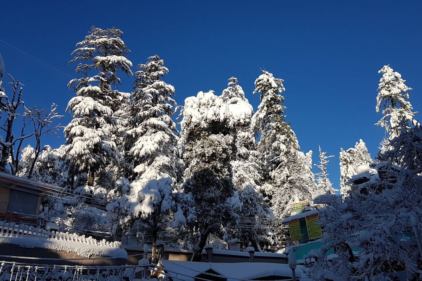 Mashobra near Shimla