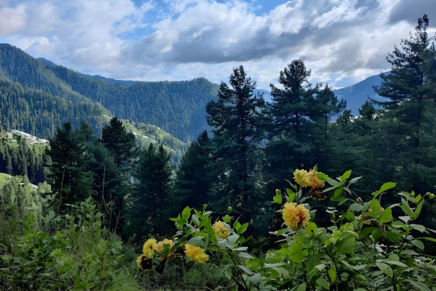 Narkanda, Shimla Top Places to Visit in Three Days