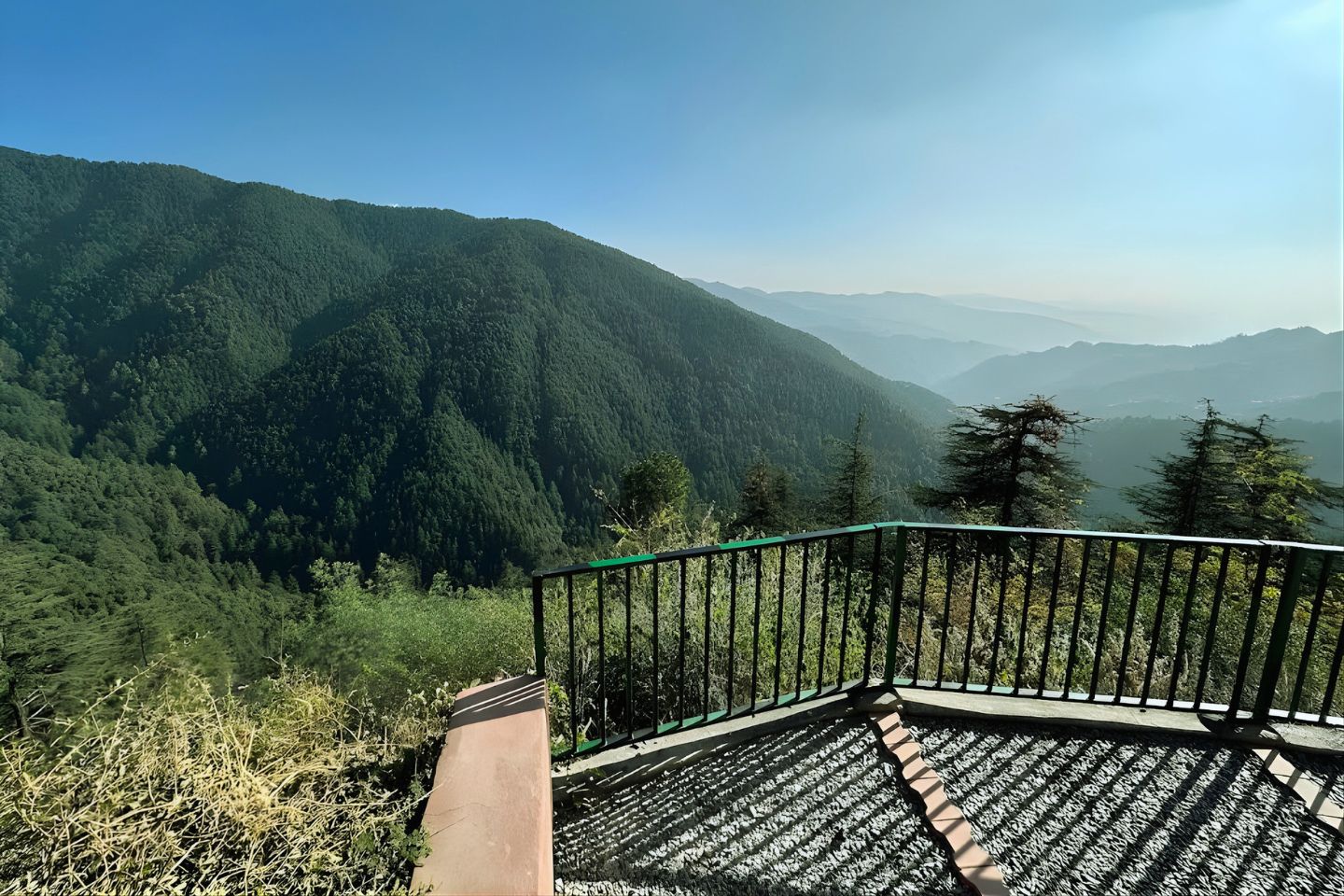 Reserve Forest Sanctuary Shimla